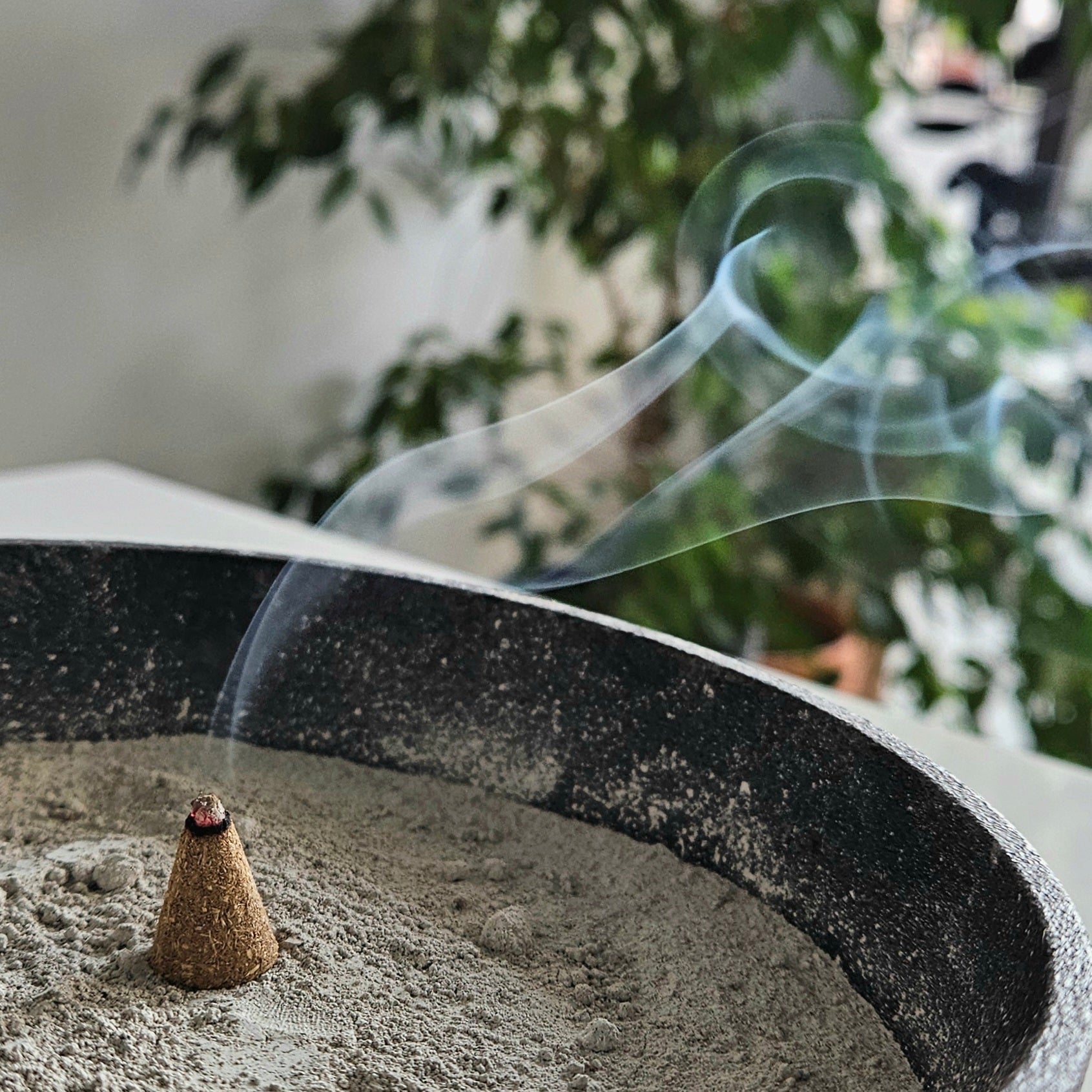 IOTA Studio - Raw Materials, Yellow Cedar Wood Powder